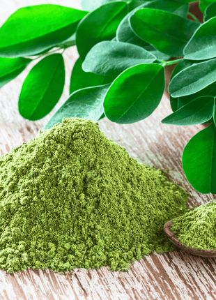 Moringa – 10 Seeds