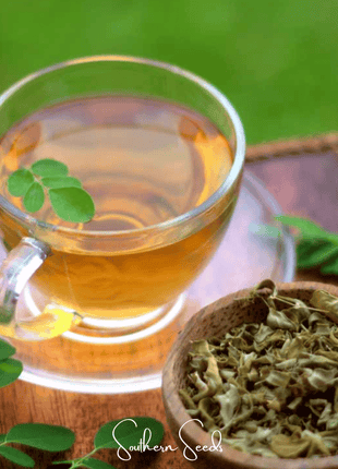 Moringa – 10 Seeds
