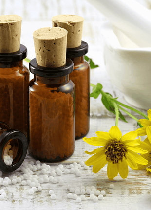 Mountain Arnica – 20 Seeds
