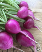 Purple Plum Radish – 250 Seeds