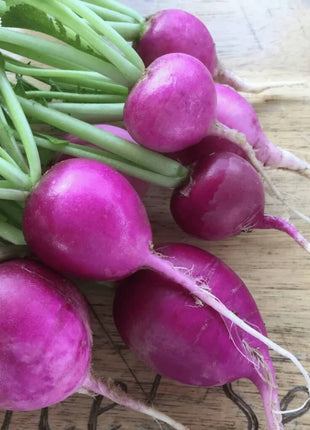 Purple Plum Radish – 250 Seeds