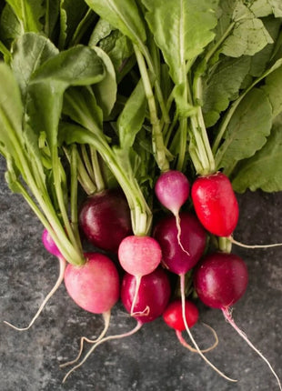 Easter Egg Radish – 250 Seeds