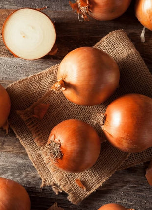 Spanish Yellow Sweet Onion – 200 Seeds