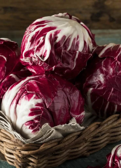 Palla Rossa Radicchio – 100 Seeds