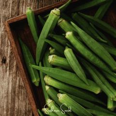 Collection image for: Okra