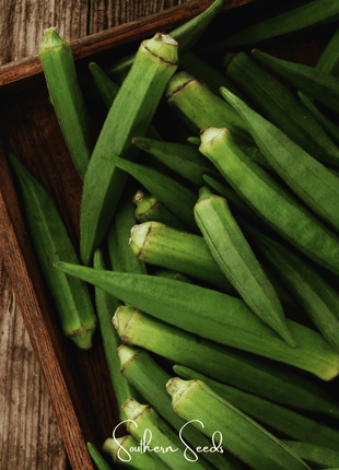 Jambalaya Okra – 50 Seeds