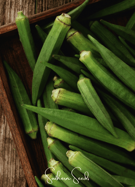 Jambalaya Okra – 50 Seeds