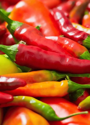 Pepper Seed Collection – 6 Essential Heirloom Peppers