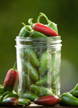 Jalapeño Early Pepper – 25 Seeds