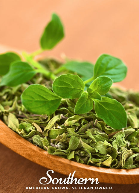 Italian Oregano – 200 Seeds