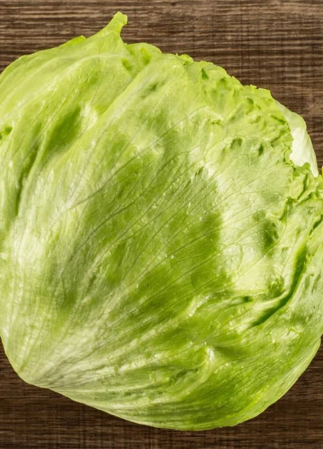 Iceberg Lettuce – 500 Seeds