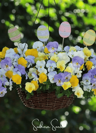 Pastel Pansy Mix – 100 Seeds