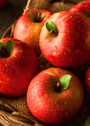 Paradise Apple Tree – 25 Seeds