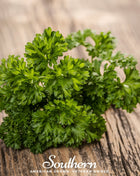 Evergreen Parsley – 200 Seeds