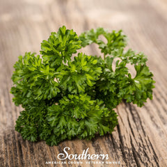 Collection image for: Parsley