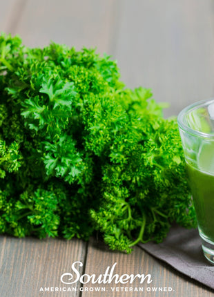 Evergreen Parsley – 200 Seeds