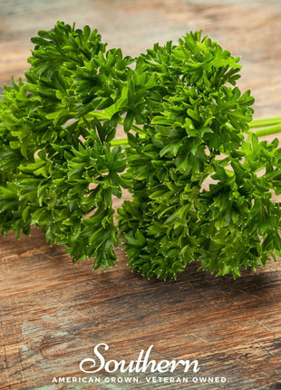 Evergreen Parsley – 200 Seeds