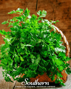 Italian Parsley – 200 Seeds