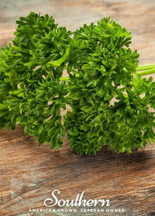 Triple Curled Parsley – 200 Seeds