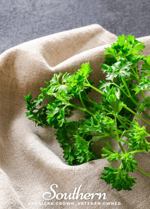 Triple Curled Parsley – 200 Seeds