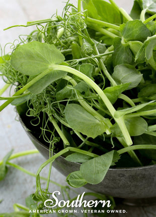 Field Shoots Peas – 100 Seeds