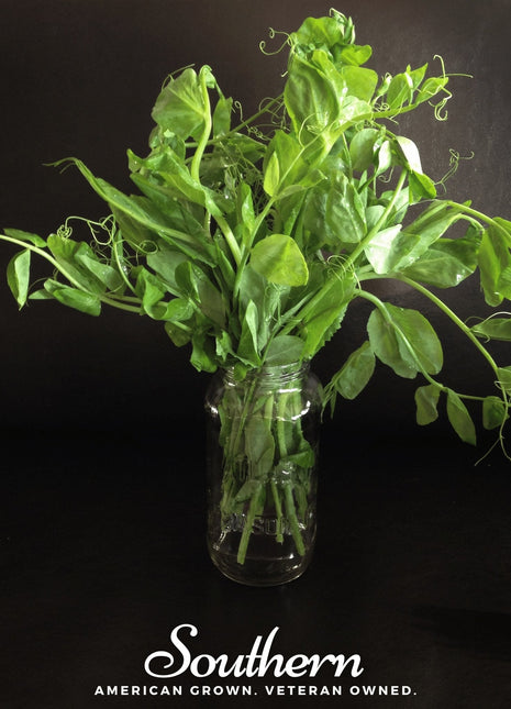 Field Shoots Peas – 100 Seeds