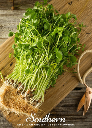 Field Shoots Peas – 100 Seeds