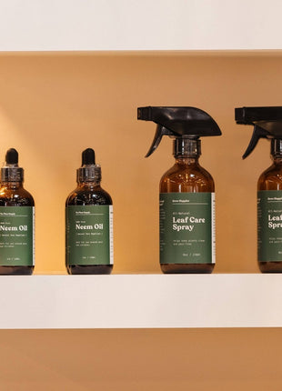 Plant Leaf Care Spray - 8oz