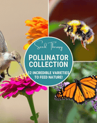 Pollinator Garden Seed Collection – 12 Varieties