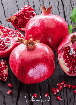 Pomegranate – 20 Seeds