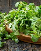 Corn Salad – 100 Seeds