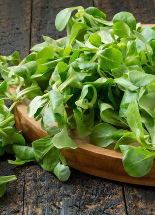 Corn Salad – 100 Seeds