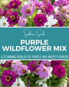 Purple Wildflower Seed Mix – 1,000 Seeds