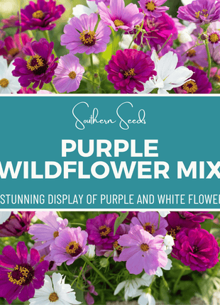 Purple Wildflower Seed Mix – 1,000 Seeds