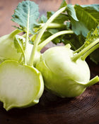 Early White Vienna Kohlrabi – 100 Seeds