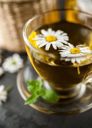 Herbal Tea Seed Collection – 6 Varieties