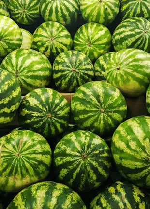 All Sweet Watermelon – 25 Seeds