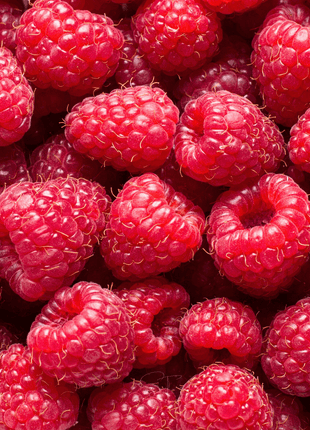 Red European Raspberry – 30 Seeds