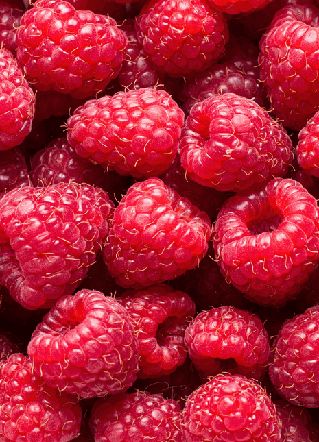 Red European Raspberry – 30 Seeds