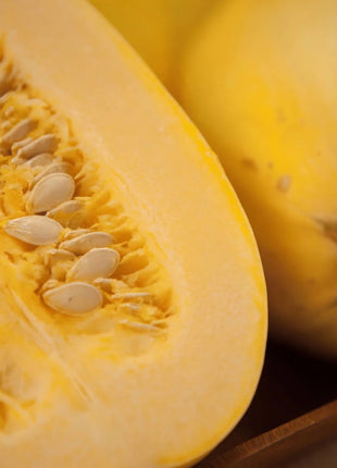 Spaghetti Winter Squash – 20 Seeds