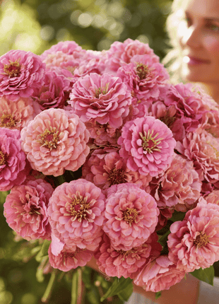Rose Zinnia – 100 Seeds