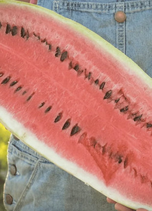 Congo Watermelon – 25 Seeds