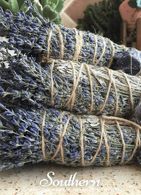 Blue Sage – 100 Seeds