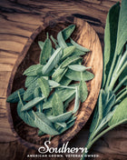 Extrakta Sage – 30 Seeds
