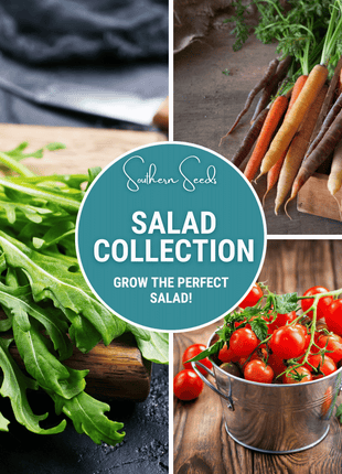 Salad Seed Collection – 6 Varieties
