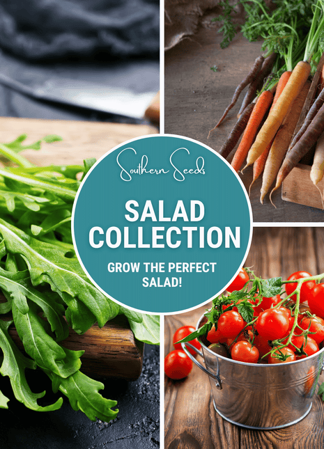 Salad Seed Collection – 6 Varieties