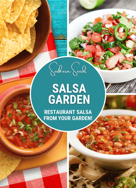 Salsa Seed Collection – Restaurant Style – 10 Amazing Varieties