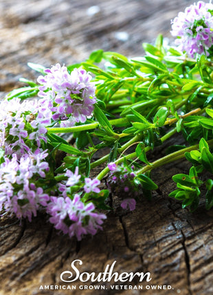 Summer Savory – 100 Seeds