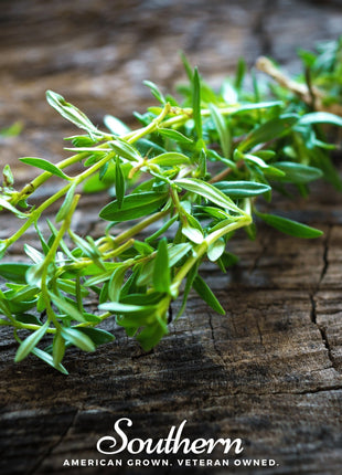 Summer Savory – 100 Seeds