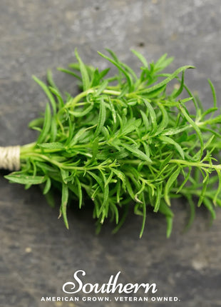 Winter Savory – 100 Seeds